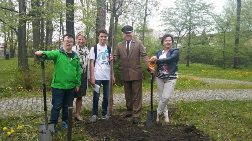 Piknik Po Stronie Natury w Żywcu. Atrakcje na rynku, a w parku sadzenie drzew ZDJĘCIA