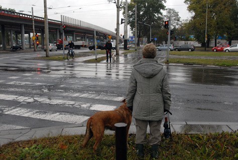 Na niektórych skrzyżowaniach piesi muszą odstać nawet dwie - trzy minuty, by zapaliło się dla nich zielone światło.