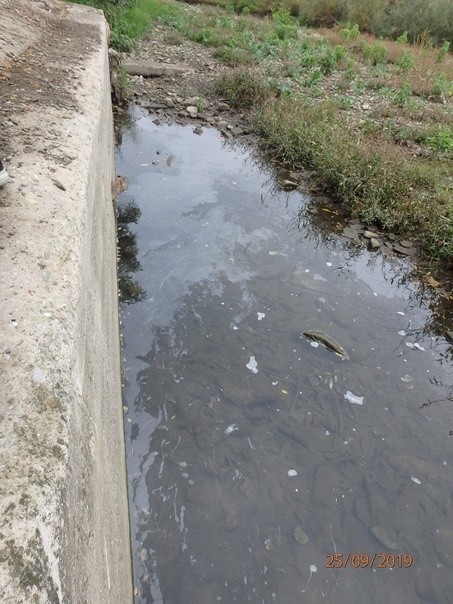 Rzeka Biała w Bielsku skażona. Została zanieczyszczona substancją ropopochodną. Interweniowała straż pożarna ZDJĘCIA