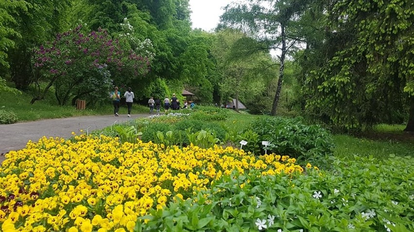 Spokojnie truchtali wśród kwiatów i zieleni. Tak lublinianie świętowali Międzynarodowy Dzień Slow Joggingu