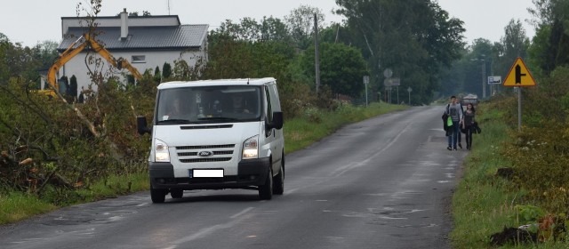 Na wąbrzeskim odcinku drogi wojewódzkiej nr 548 wycinka drzew już została zakończona. Ale wciąż trzeba tu uważać