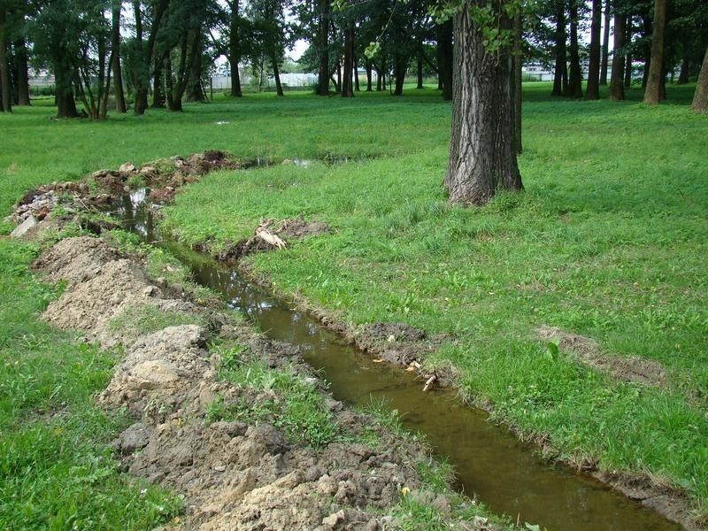 Od kilkunastu dni z uszkodzonej rury przy dawnej drodze zakładowej Synthosu tryska woda