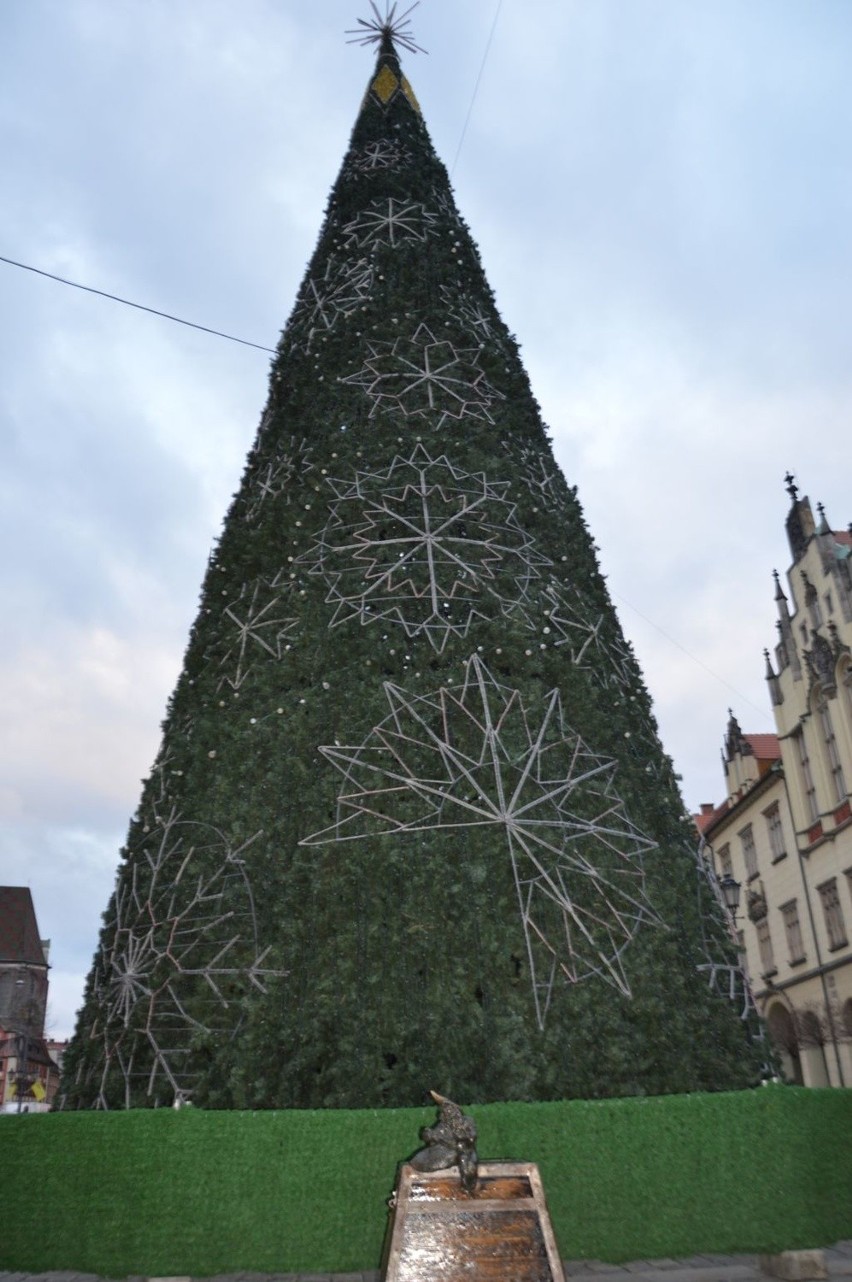 Choinka w Rynku już gotowa. Jak się Wam podoba?