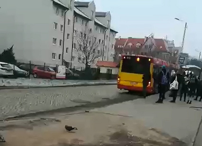 Wrocław: Cztery autobusy linii A jeden za drugim. O co chodzi?