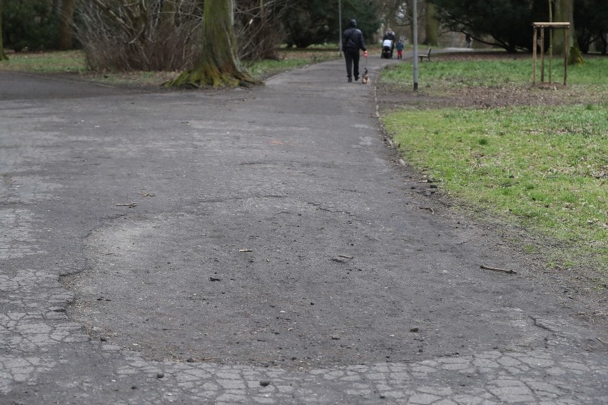 Remont alejek w Parku Żeromskiego w Szczecinie. Dwie firmy są chętne [ZDJĘCIA]