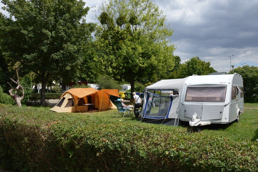 Wrocławski camping znajduje się na terenach należących do...