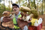 Są grzyby! Popadało, jest ciepło! Czy są grzyby? Tak! Internauci wrzucają zdjęcia. Gdzie na grzyby? 20.06.2020