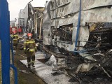 Pożar w Cersanicie w Starachowicach. Z zakładu zostały zgliszcza. Zobacz zdjęcia i wideo  