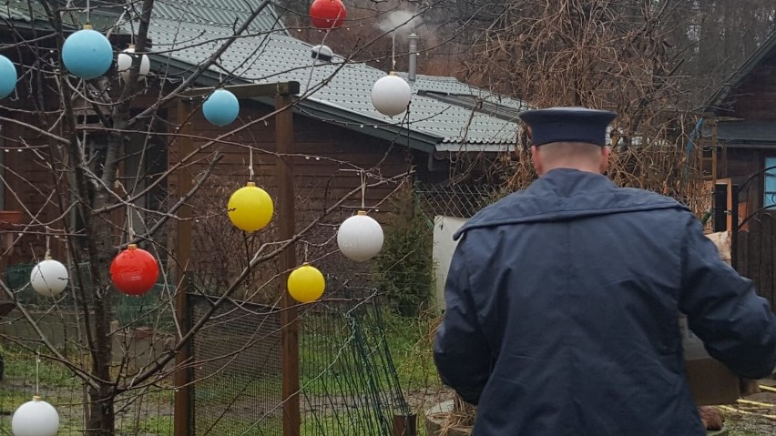 Areszt Śledczy w Grójcu i policja pomogły bezdomnym zwierzętom z fundacji w gminie Pniewy