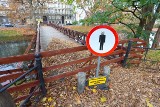 Most w centrum Wrocławia do rozbiórki. Runęło na niego drzewo i musi zostać zlikwidowany, ale powstanie nowy [ZDJĘCIA]