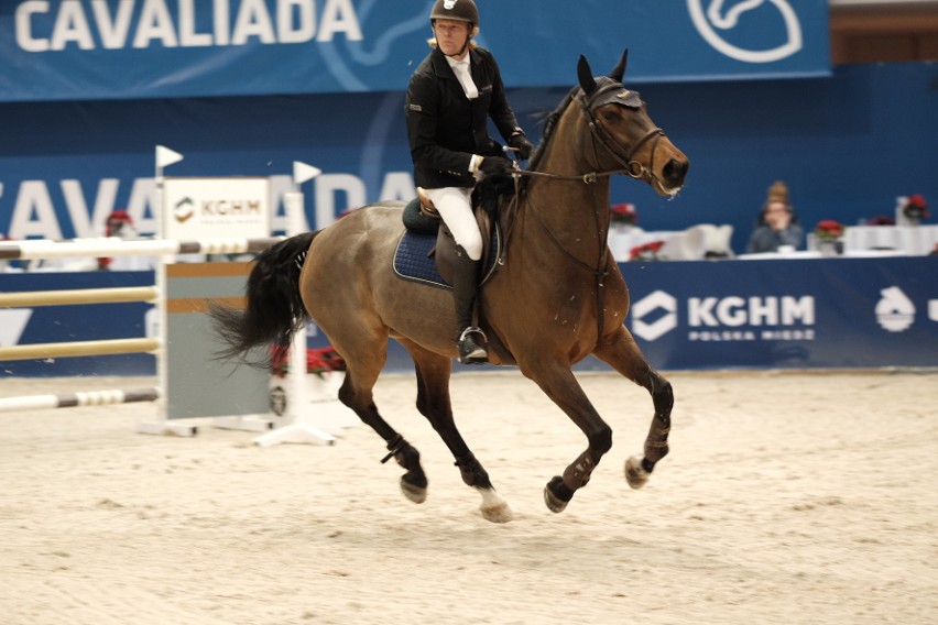 Cavaliada 2017: Wielkie święto miłośników koni rozpoczęte! [ZDJĘCIA]