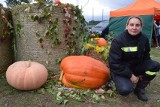 Dyniowy festiwal w Radaczu koło Szczecinka. Tak się bawiono w przededniu jesieni [zdjęcia]