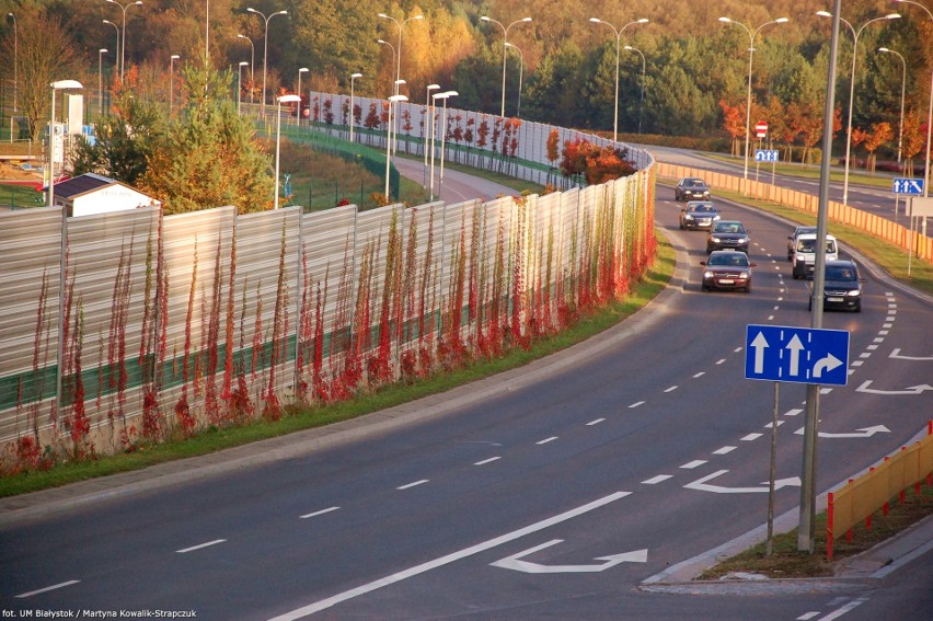 Coraz więcej zielonych ekranów w naszym mieście