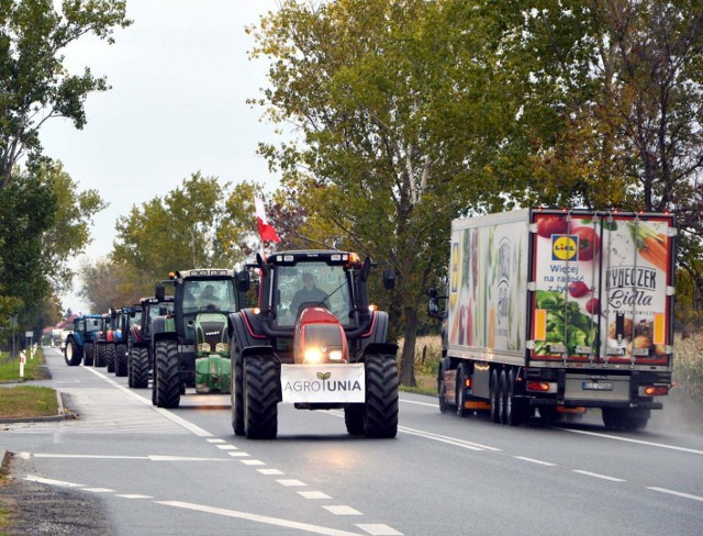 Rolniczy protest Agrounii w powiecie łowickim. Rolnicy wyjechali ciągnikami na DK 14CZYTAJ DALEJ NA NASTĘPNYM SLAJDZIE