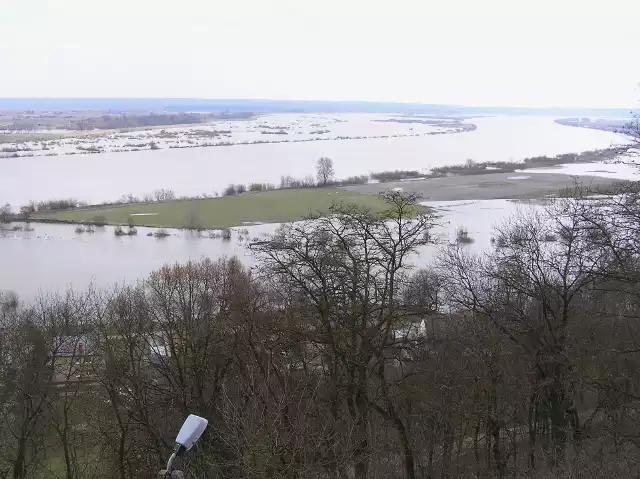 Wezbrania Wisły w regionie nie są niczym nadzwyczajnym. Najważniejsze, żeby woda nie przedarła się przez wały przeciwpowodziowe