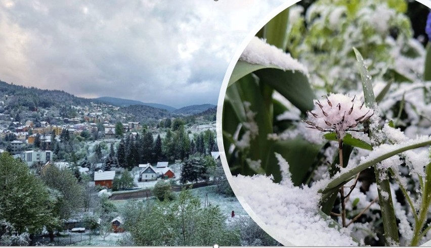 Śnieg przywitał mieszkańców Muszyny i Krynicy-Zdroju