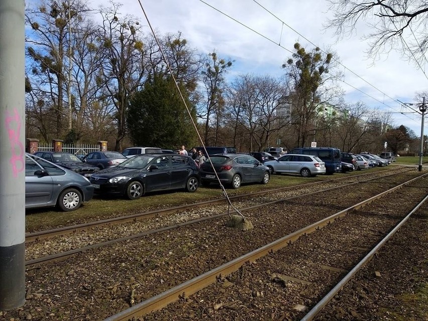 Teren zabezpieczony słupkami przed parkującymi "na dziko" i...