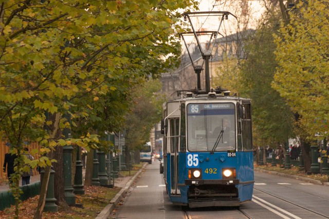 Tramwaje i autobusy jadą wg specjalnego rozkładu 