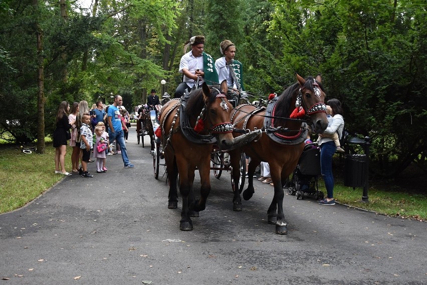 Piknik Ułański w Parku Miejskim. Były pokazy jazdy, amazonki strzelały z łuku, ułani popisywali się walecznością. Był także wywiad z koniem