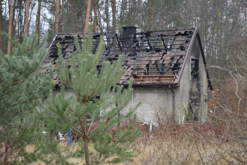 Pogórska Wola. Tragiczny pożar domu. Nie żyją dwie osoby [ZDJĘCIA]