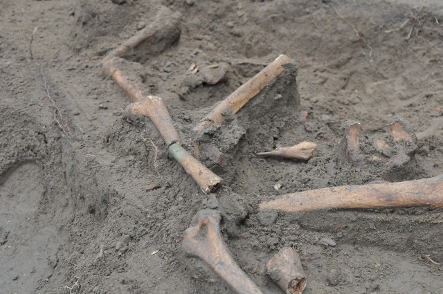 W grobie prawdopodobnie leży od 50 do 80 kilku ciał.