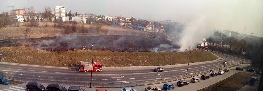 Kolejny pożar traw w Lublinie. Ogień na rogu ulic Szeligowskiego i Północnej (ZDJĘCIA)