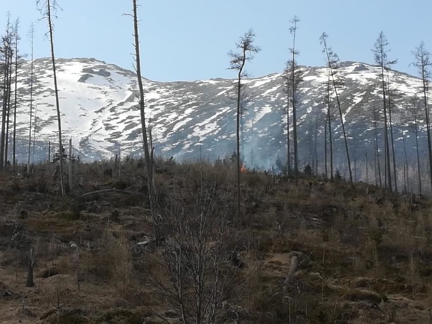 Tatry. Susza daje się we znaki, duży pożar lasu po słowackiej stronie gór