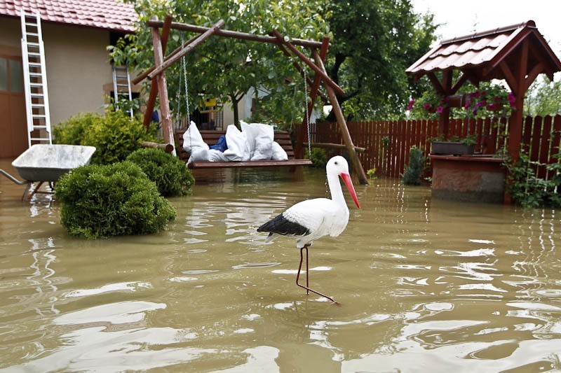 Powódź w Trześni.