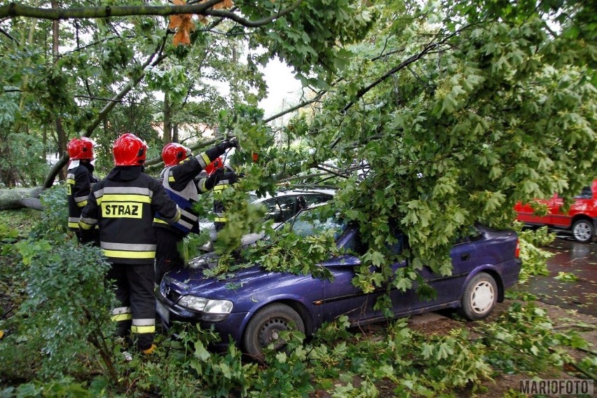 Straż pożarna od godz. 4.45 do godz 7.00 interweniowała...