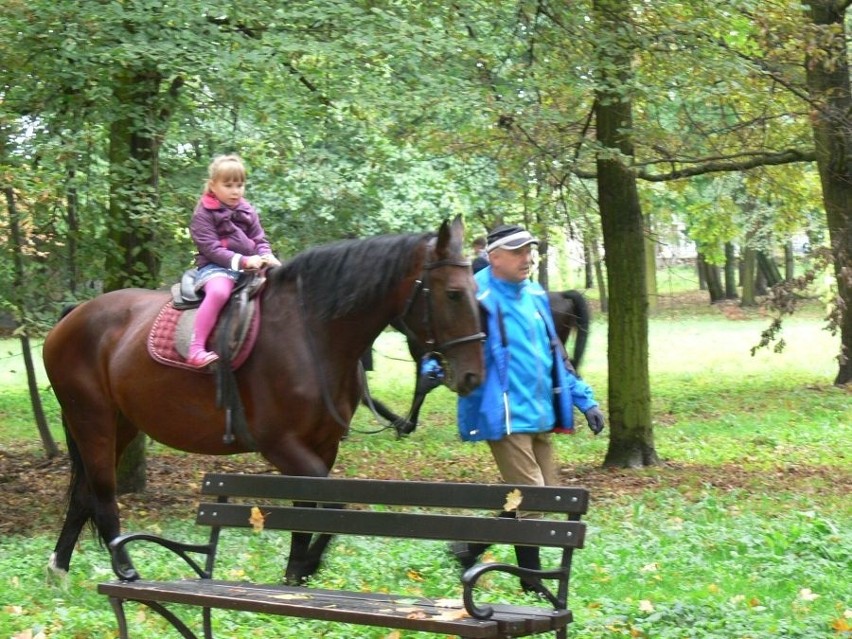 II Piknik Ekologiczny - Lataj jak ptak w Tarnobrze