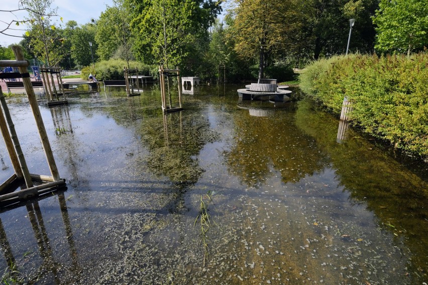Park Wodziczki został ponownie zalany po intensywnych...