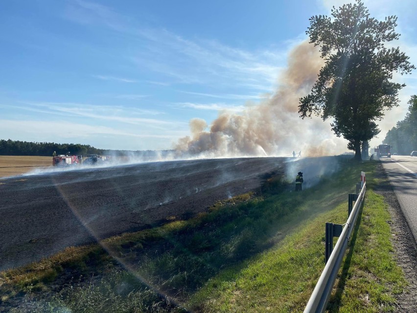 Pożar ścierniska w miejscowości Poganice