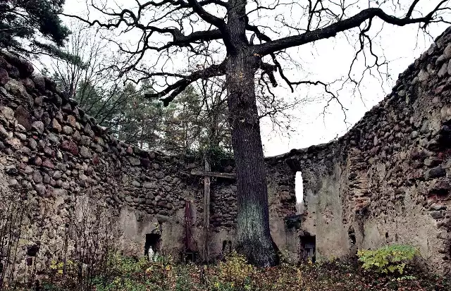 Zobaczcie opuszczone pałace, fabryki, jednostki wojskowe, kościoły, gorzelnie i inne opuszczone miejsca w województwie lubuskim. Wywołują dreszczyk grozy, ale ciekawią swoją historią... >>> WIDEO: Zielona Góra. Ruiny starego młyna
