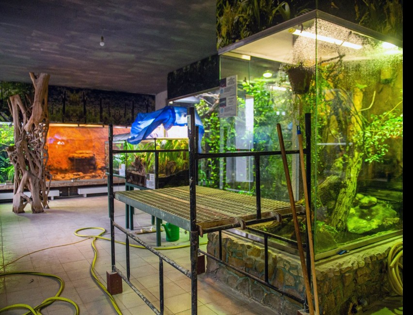 Wyremontowane wiwarium w łódzkim zoo zostanie otwarte na wiosnę