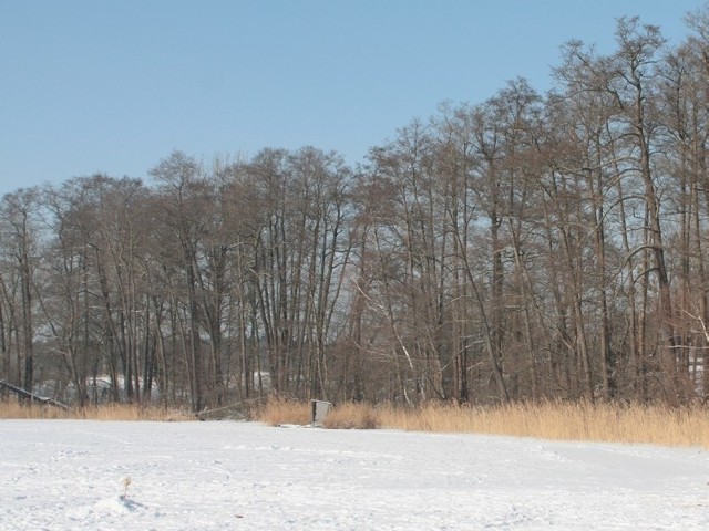 Wójt Przytocznej Bartłomiej Kucharyk ogłosił konkurs na fotografię o tematyce zimowej.