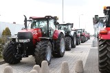 Agrotech 2019 w Kielcach od piątku. Jadą ciągniki i maszyny, na targach praca wre (ZDJĘCIA, WIDEO) 