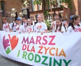 Marsz dla Życia i Rodziny przeszedł ulicami Oświęcimia. Na koniec odbył się piknik rodzinny i koncert [ZDJĘCIA]