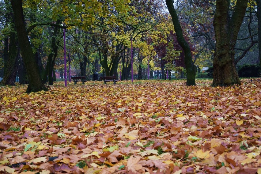 A w parku Andersa jesień...