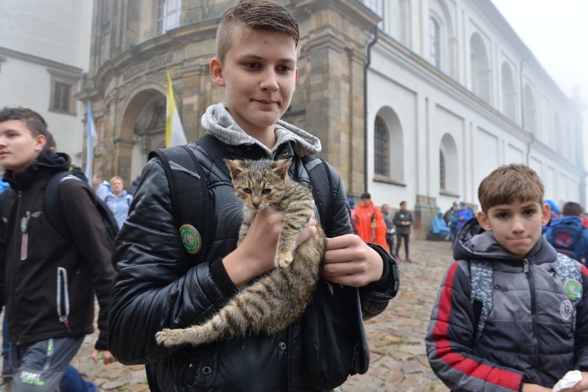 Trzy tysiące pielgrzymów z trzech diecezji dotarło na Święty Krzyż (WIDEO, zdjęcia)