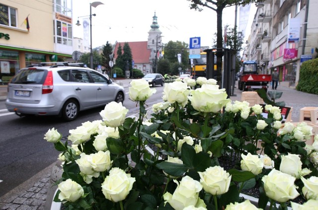 W dniu pogrzebu Anny Przybylskiej ulica Świętojańska w Gdyni została przystrojona 4 tysiącami białych róż