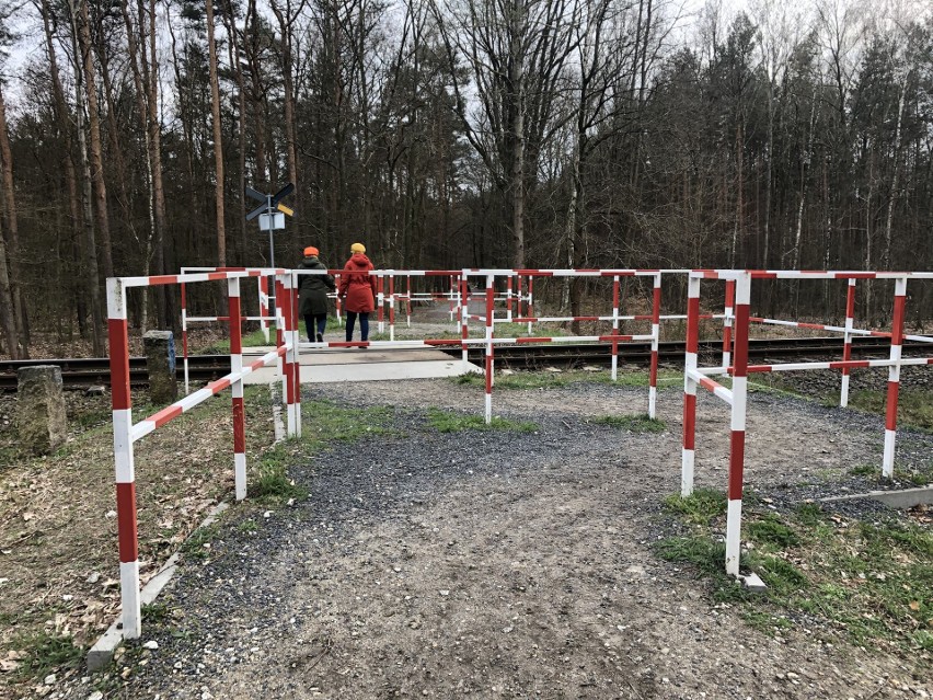 W tym miejscu - w jedynym legalnym przejściu przez tory -...