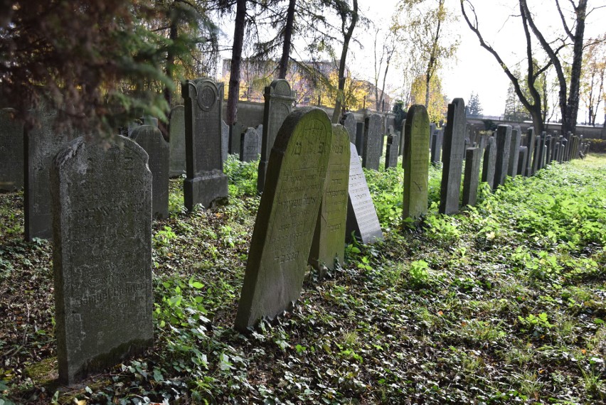 Niezwykła lekcja historii 1 listopada z dr Jackiem Proszykiem na zabytkowym cmentarzu żydowskim w Oświęcimiu [ZDJĘCIA]