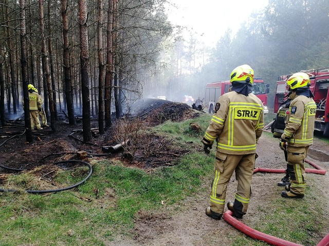 We wtorkowe popołudnie w okolicach miejscowości Cieszyno doszło do pożaru młodnika. W akcji gaszenia pożaru uczestniczyły OSP Złocieniec, OSP Nowe Worowo oraz PSP Drawsko Pomorskie.