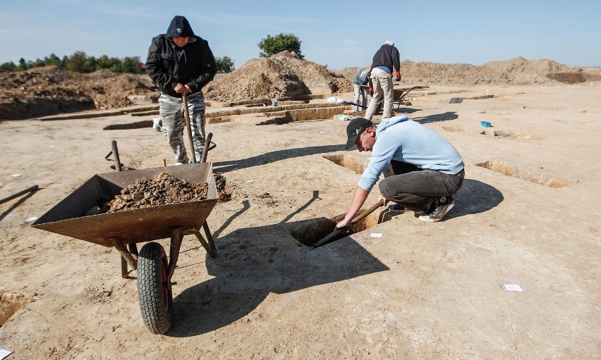 Archeolodzy odkopali osadę neolityczną koło Łańcuta.