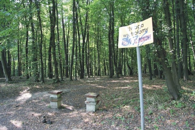 Urządzony w latach 70. ub. wieku park przez wiele lat był zaniedbywany, uległ znacznej degradacji.