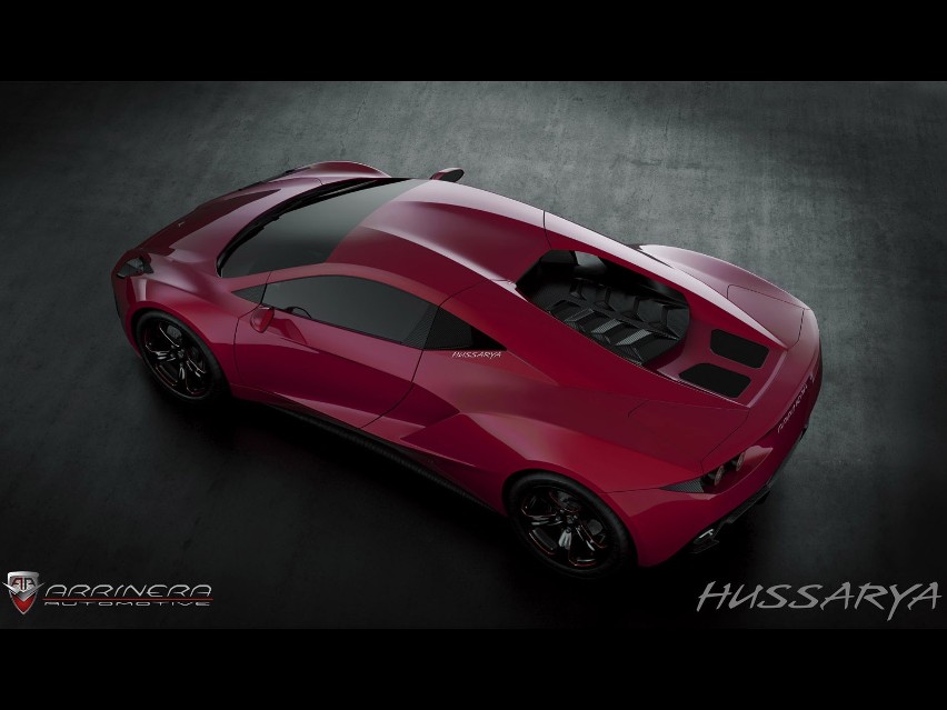 Arrinera Hussarya, Fot: Arrinera