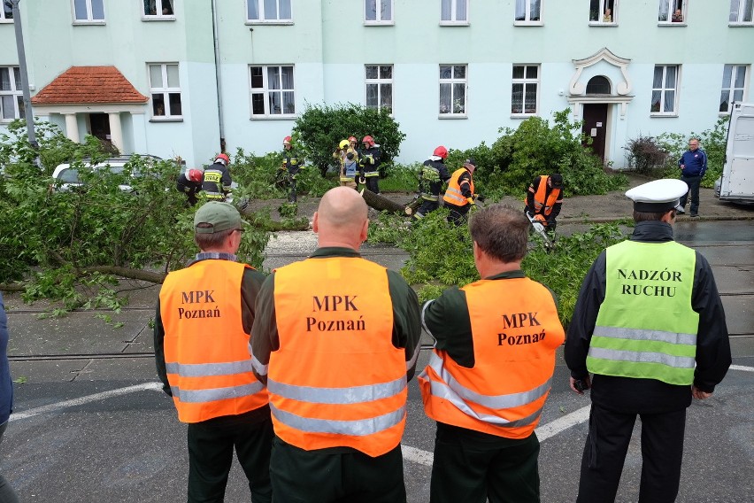 Nawałnica w Poznaniu: Powalone drzewo zablokowało ruch