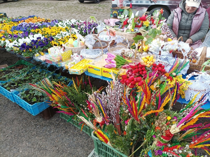 Rynek w Ostrowi Mazowieckiej. Na targowisku królują wielkanocne ozdoby, sadzonki oraz kwiaty na groby  27.03.2023