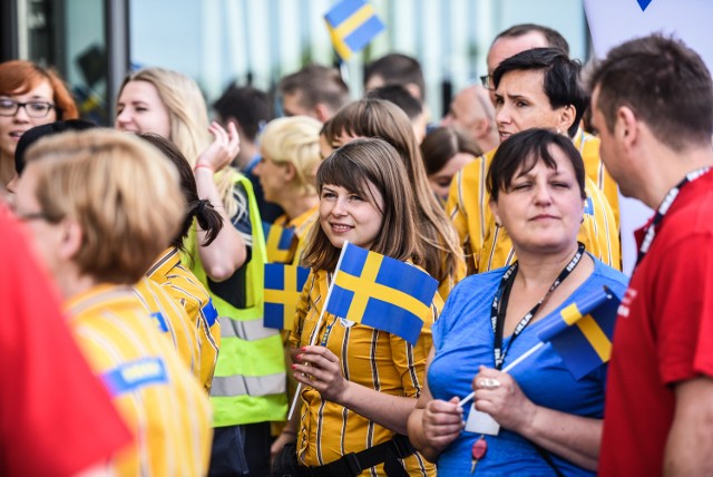 Salony meblowe w Świeciu i Chełmnie drżą przed szwedzkim gigantem W środę odbyło się oficjalne otwarcie sklepu IKEA Bydgoszcz.
