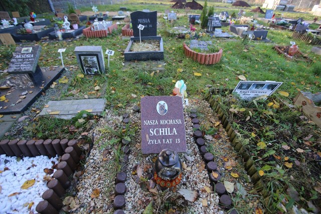 Cmentarz dla zwierząt w Bytomiu. Czy podobne miejsce powstanie też w Koszalinie?